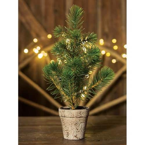 BreeBe - *Potted Sierra Pine Tree - Green