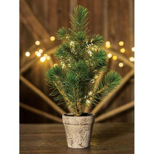 Front. BreeBe - *Potted Sierra Pine Tree - Green.