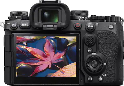 Sony What Is The Difference Between Dslr And Mirrorless Camera