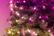 Alt View 13. Twinkly - 6ft Pre-Lit Smart Light Regal Tree with 435 RGB LEDs - Multi.
