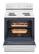 Alt View 2. Amana - 4.8 Cu. Ft. Freestanding Single Oven Electric Range with Easy-Clean Glass Door - White.