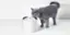 Alt View 13. Petkit - Eversweet 3 Pro Bluetooth Stainless Water Fountain with Wireless Pump+UVC, Ultra Quiet for Cats and Dogs - White.