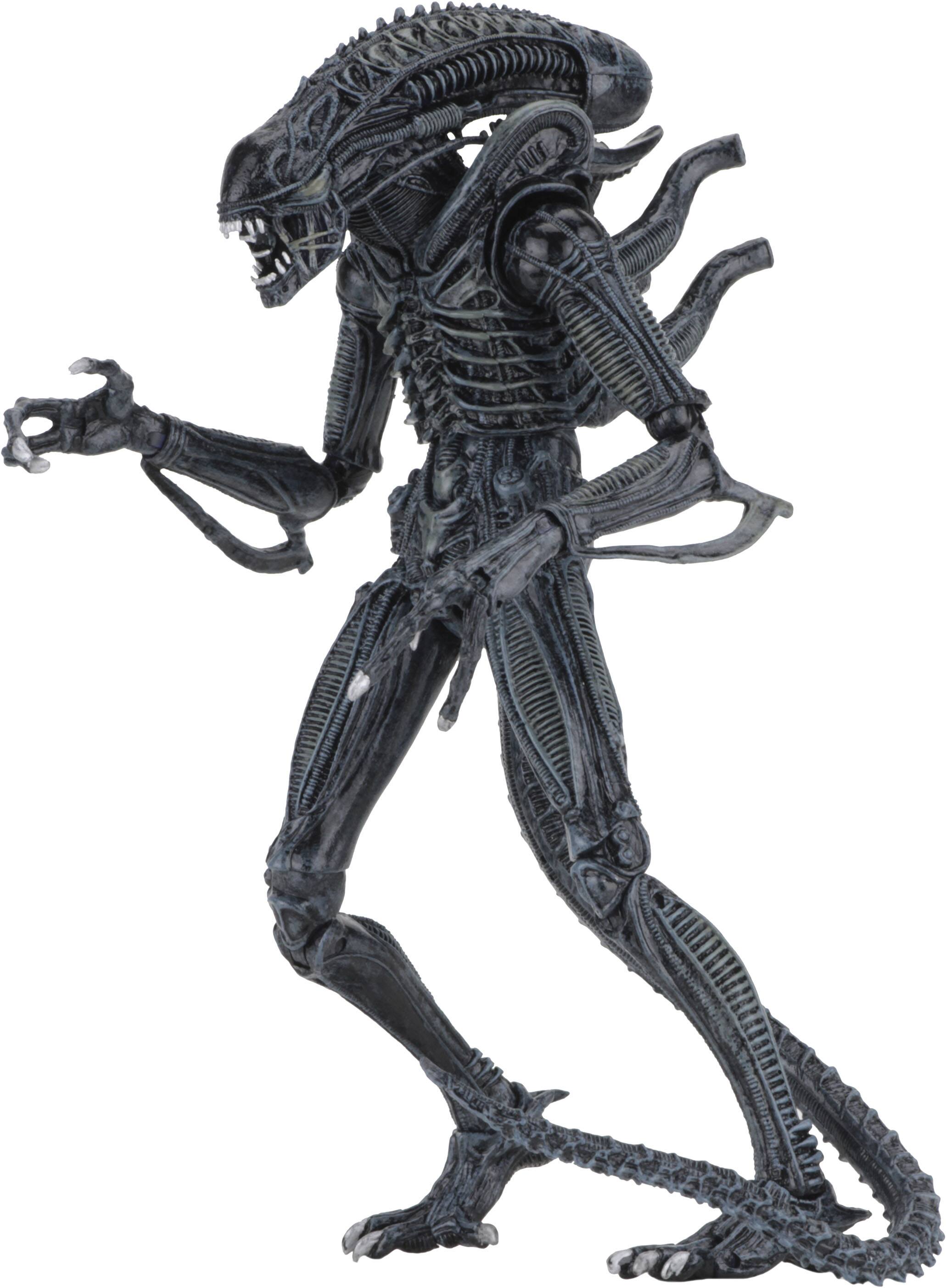 Customer Reviews: NECA Alien 7