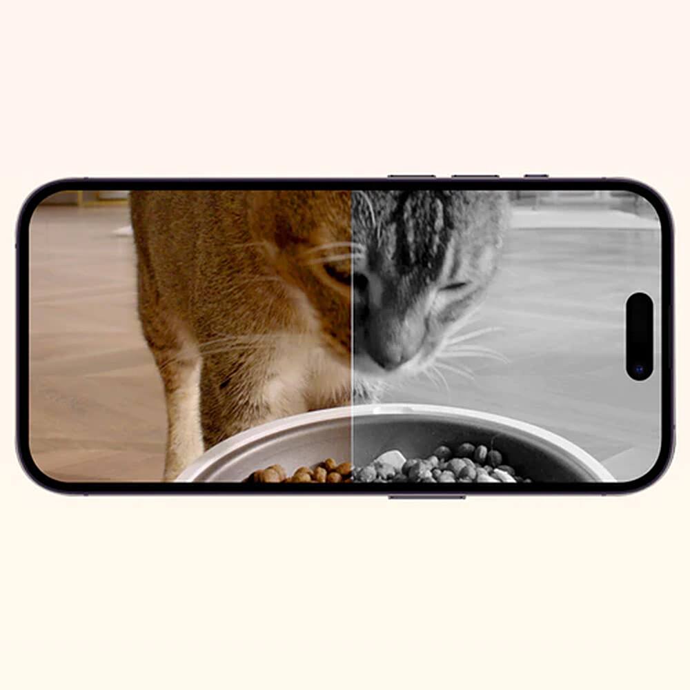 Alt View 23. Petkit - Yumshare Dual-Hopper Wifi Enabled 5L Automatic Cat Feeder with Camera, 2-Way Audio and Smart App Control - White.