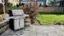 Alt View 13. Weber - GENESIS S-315 Propane Gas Grill - Stainless Steel.