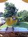 Alt View Zoom 19. Bird Buddy - Smart Bird Feeder with Solar Roof - Yellow.