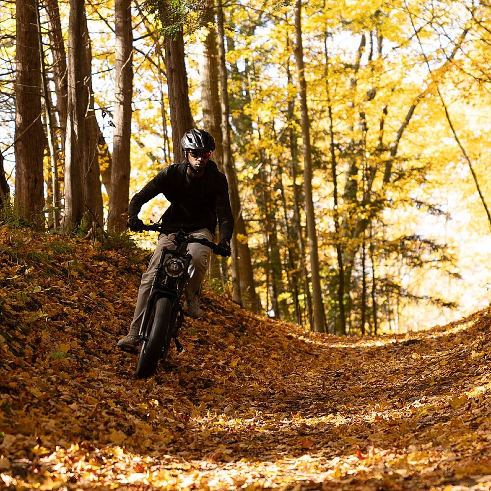 Alt View 31. Greenworks - 80V 20" Venture Series Fat Tire Utility EBike w/ 22mi Max Op. Rang & 20mph Max Speed w/4.0 Ah Battery and Charger - Black.