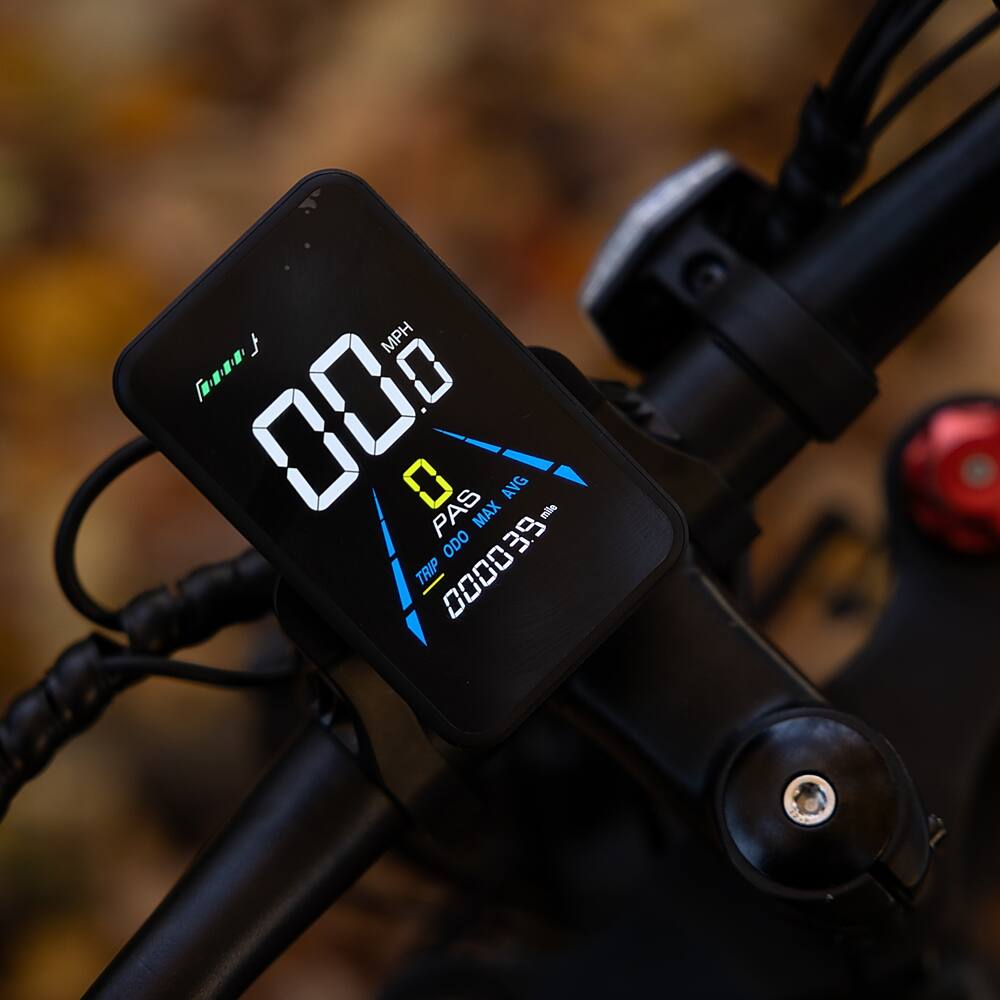 MPH M 0 000 0 PAS MAX AVG mile ODO 39 TRIP 0000