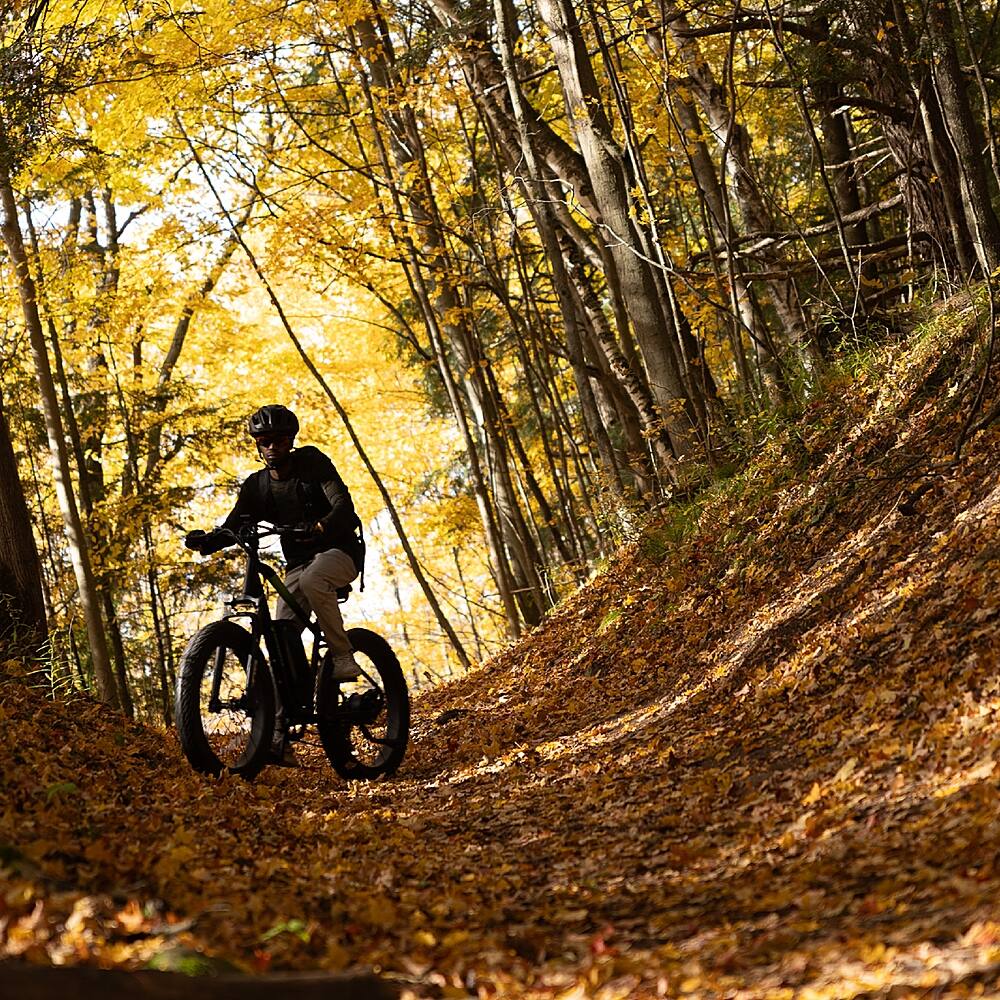 Alt View 32. Greenworks - 80V 26" Venture Series Fat Tire Mountain EBike w/ 22mi. Max Op. Range & 20mph Max Speed w/ 4.0Ah Battery & Charger - Black.