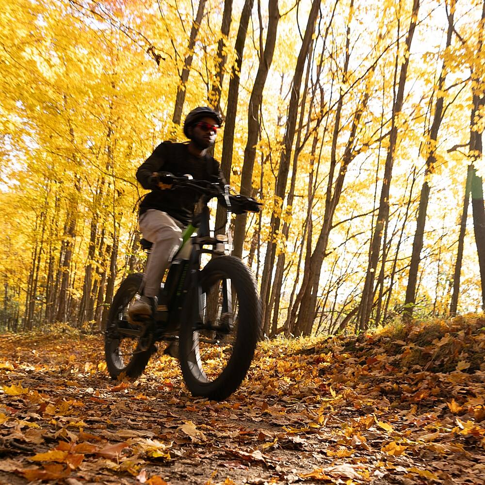 Left. Greenworks - 80V 26" Venture Series Fat Tire Mountain EBike w/ 22mi. Max Op. Range & 20mph Max Speed w/ 4.0Ah Battery & Charger - Black.
