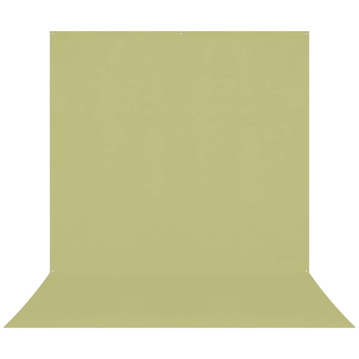 Westcott - 8x13' X-Drop Pro Wrinkle-Resistant Backdrop, Light Moss Green