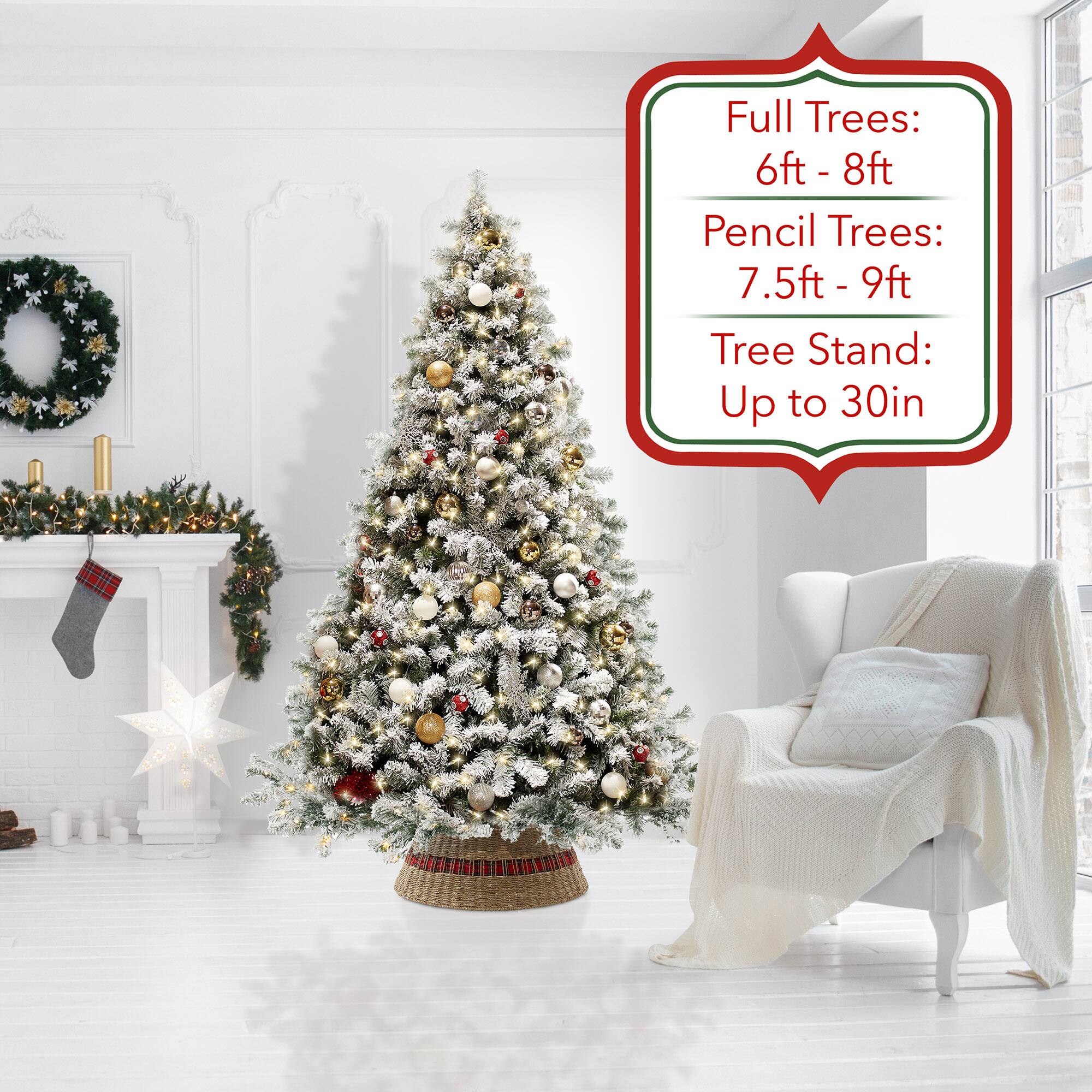 Full Trees: 6ft - 8ft  
Pencil Trees: 7.5ft - 9ft  
Tree Stand: Up to 30in
