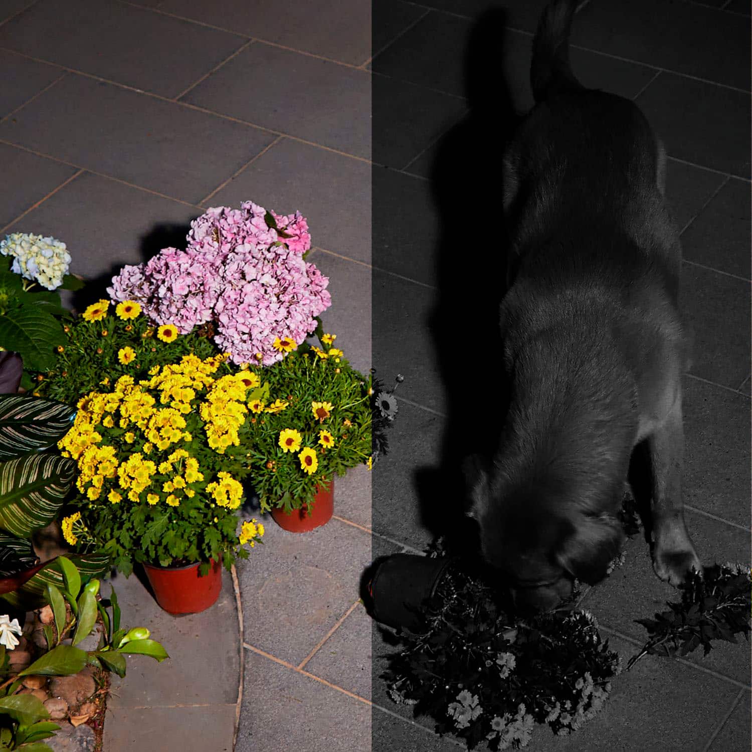 Alt View 16. eufy Security - SoloCam S40 2 Outdoor Wireless 2K 8GB Security Cameras with Integrated Solar Panel - White.