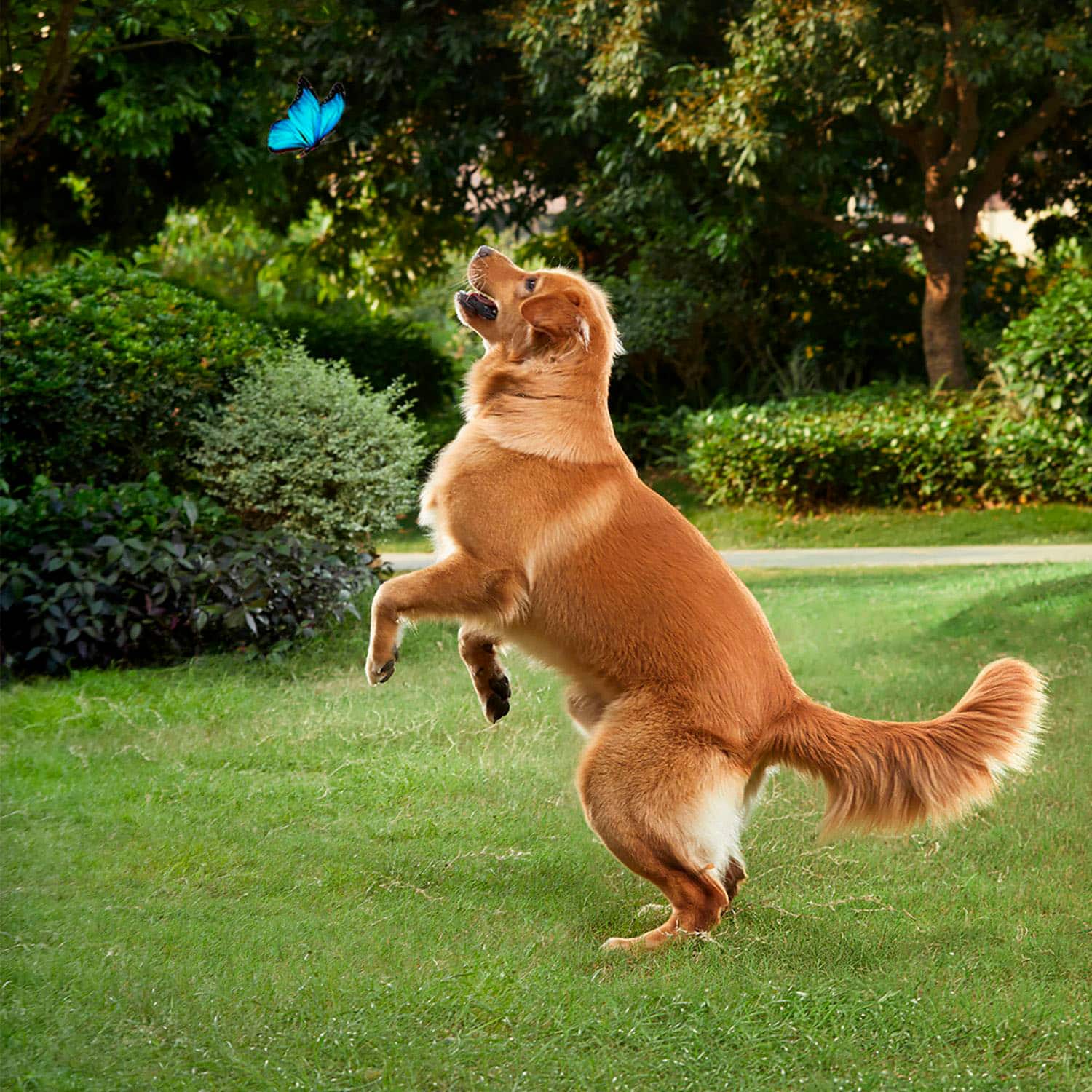 Alt View 17. eufy Security - SoloCam S40 2 Outdoor Wireless 2K 8GB Security Cameras with Integrated Solar Panel - White.