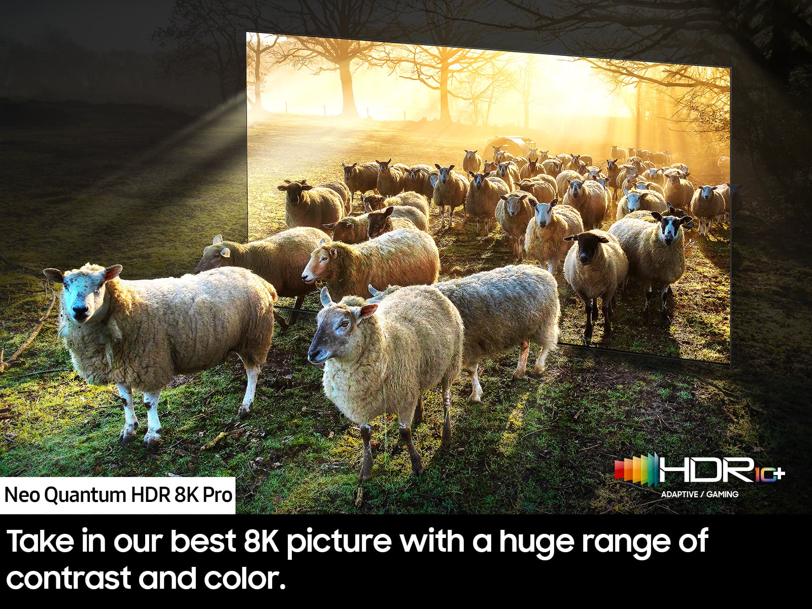 HDR 0+ Neo Quantum HDR 8K Pro ADAPTIVE/GAMING J Take in our best 8K picture with a huge range of contrast and color.