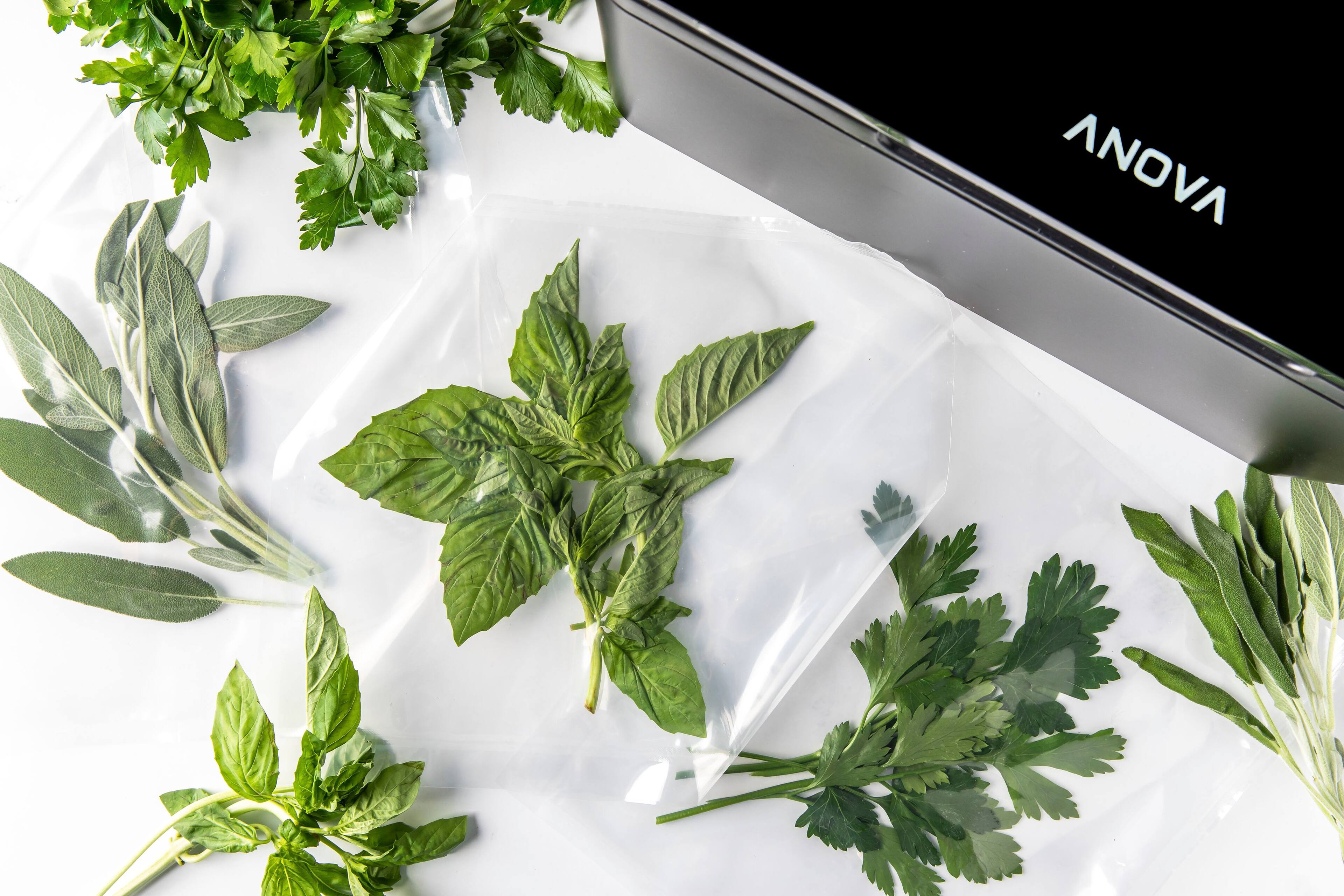 Alt View 17. Anova - Precision  Chamber Vacuum Sealer - Black.