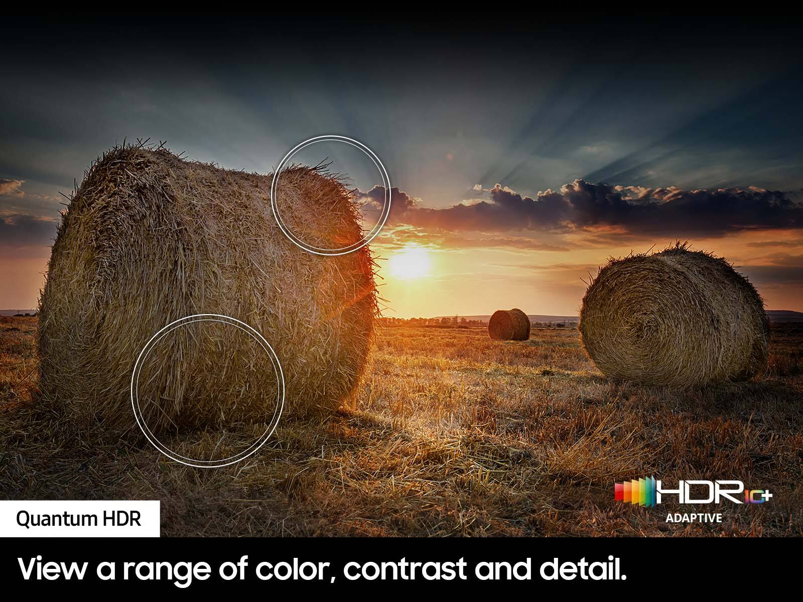 Quantum HDR: View a range of color, contrast, and detail.