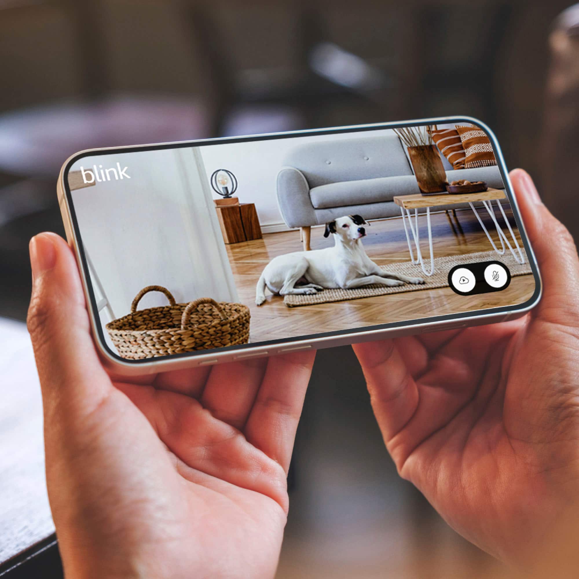 See and speak to people and pets from your smartphone.