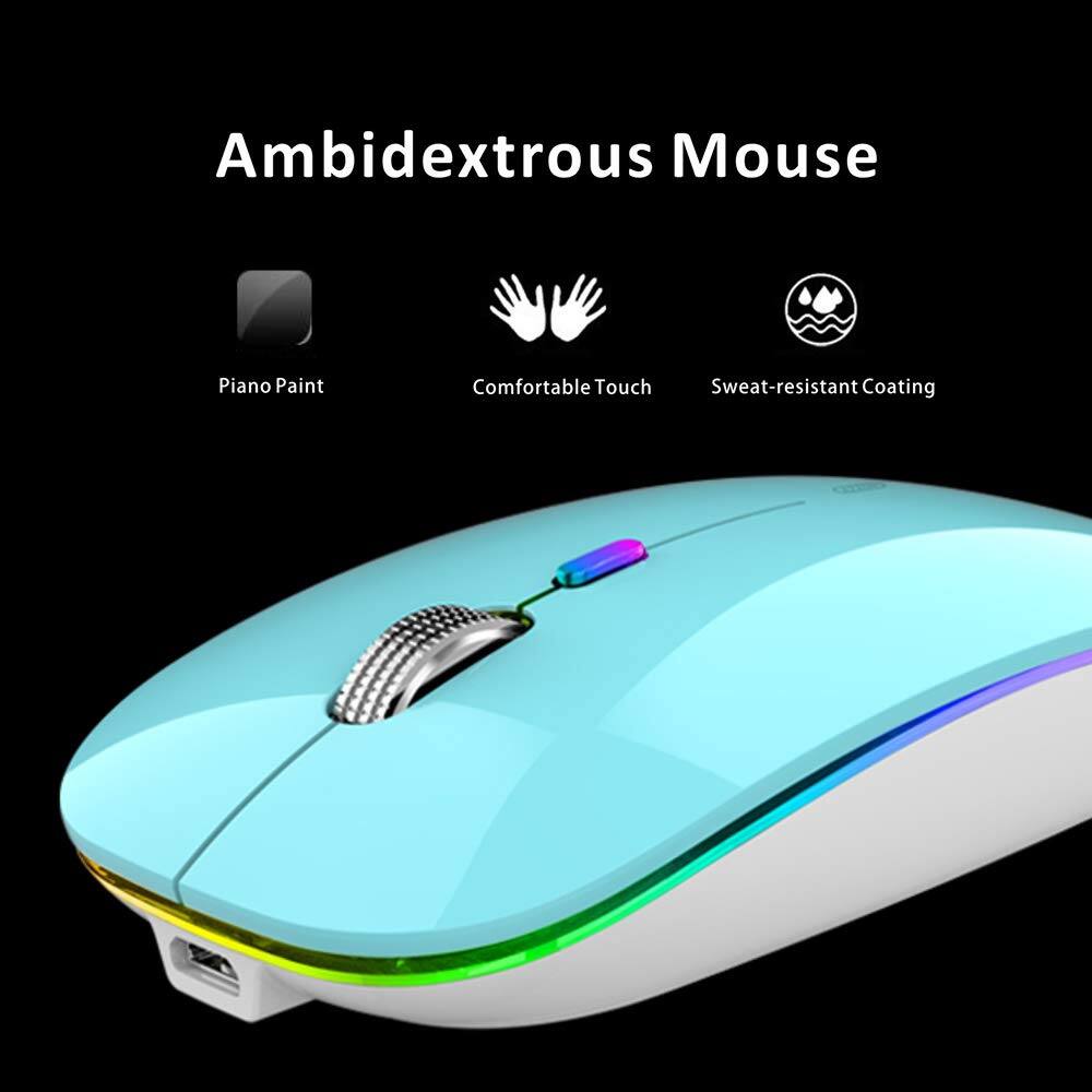 Ambidextrous Mouse

- Piano Paint
- Comfortable Touch
- Sweat-resistant Coating