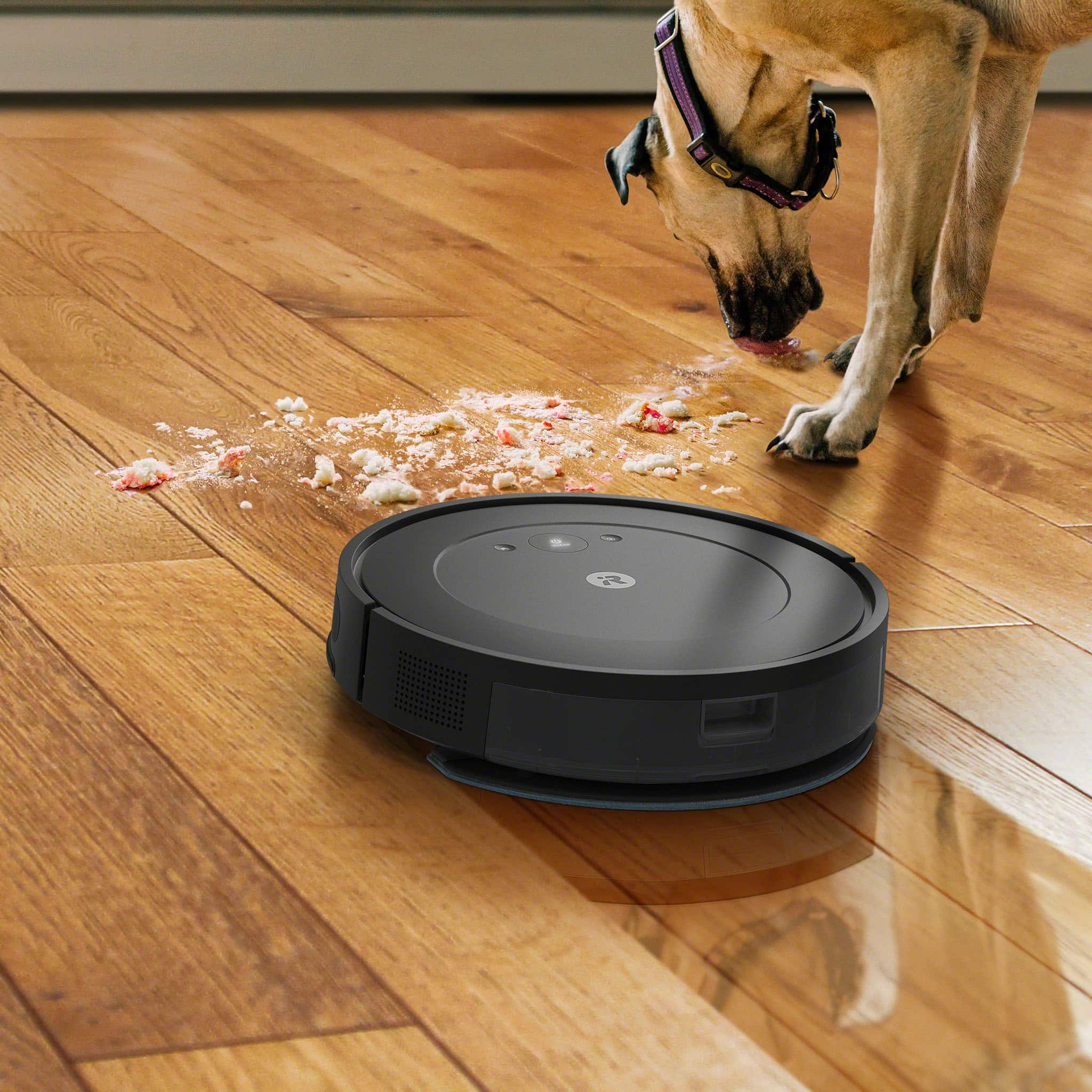 The image features a dog standing on a wooden floor, sniffing and eating food that has been dropped. The food is scattered around the dog, and a robotic vacuum cleaner is present in the scene. The text "3 suction power & mop water levels" is displayed in the upper right corner of the image, likely referring to the vacuum cleaner's features.