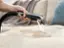 Alt View 11. BISSELL - Little Green Cordless Portable Deep Cleaner - Titanium with silver accents.