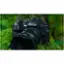 Alt View 23. Olympus - OM SYSTEM OM-1 Mark II 4K Video Mirrorless Camera with Lens - Black.