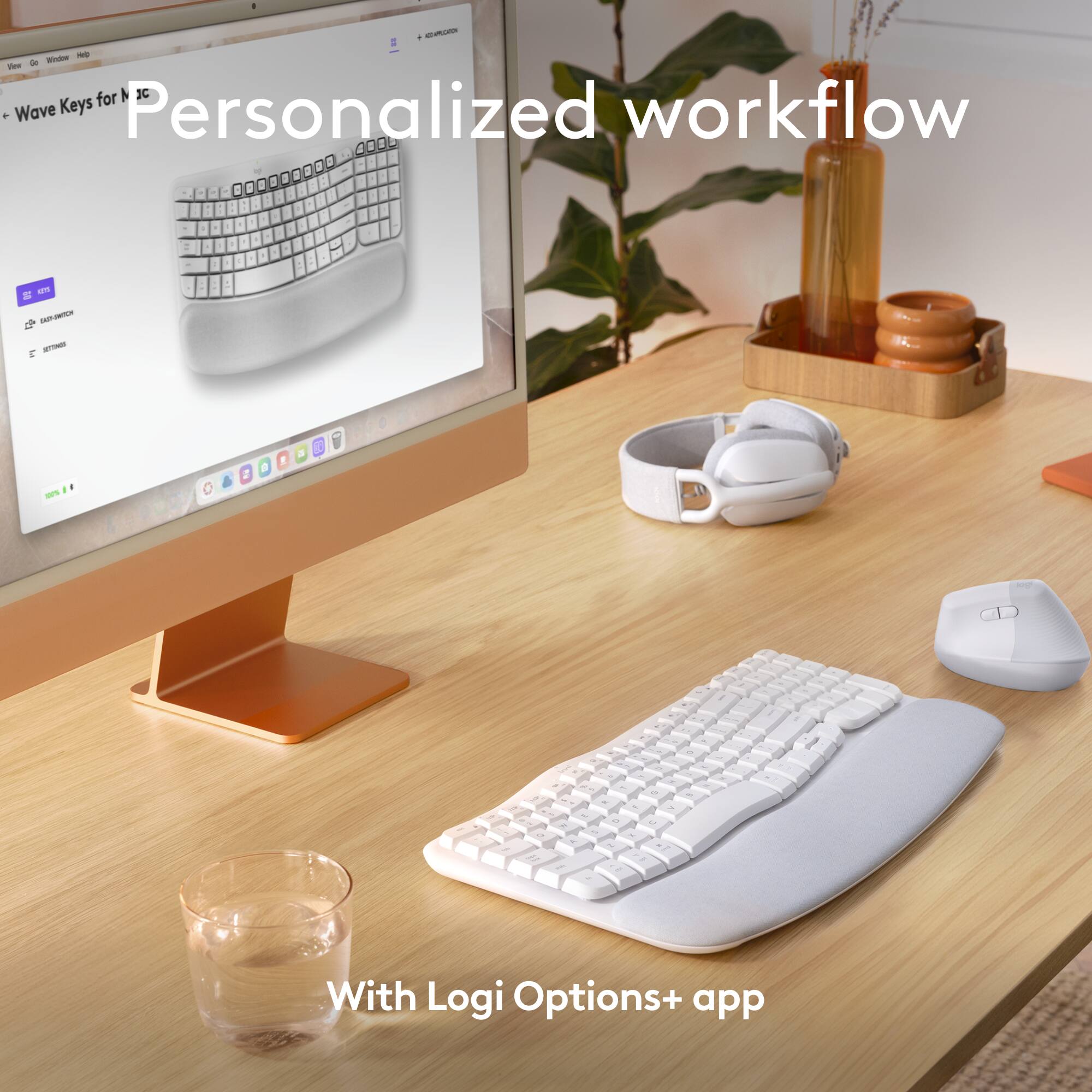 Personalized Workflow with Logi Options+ app.