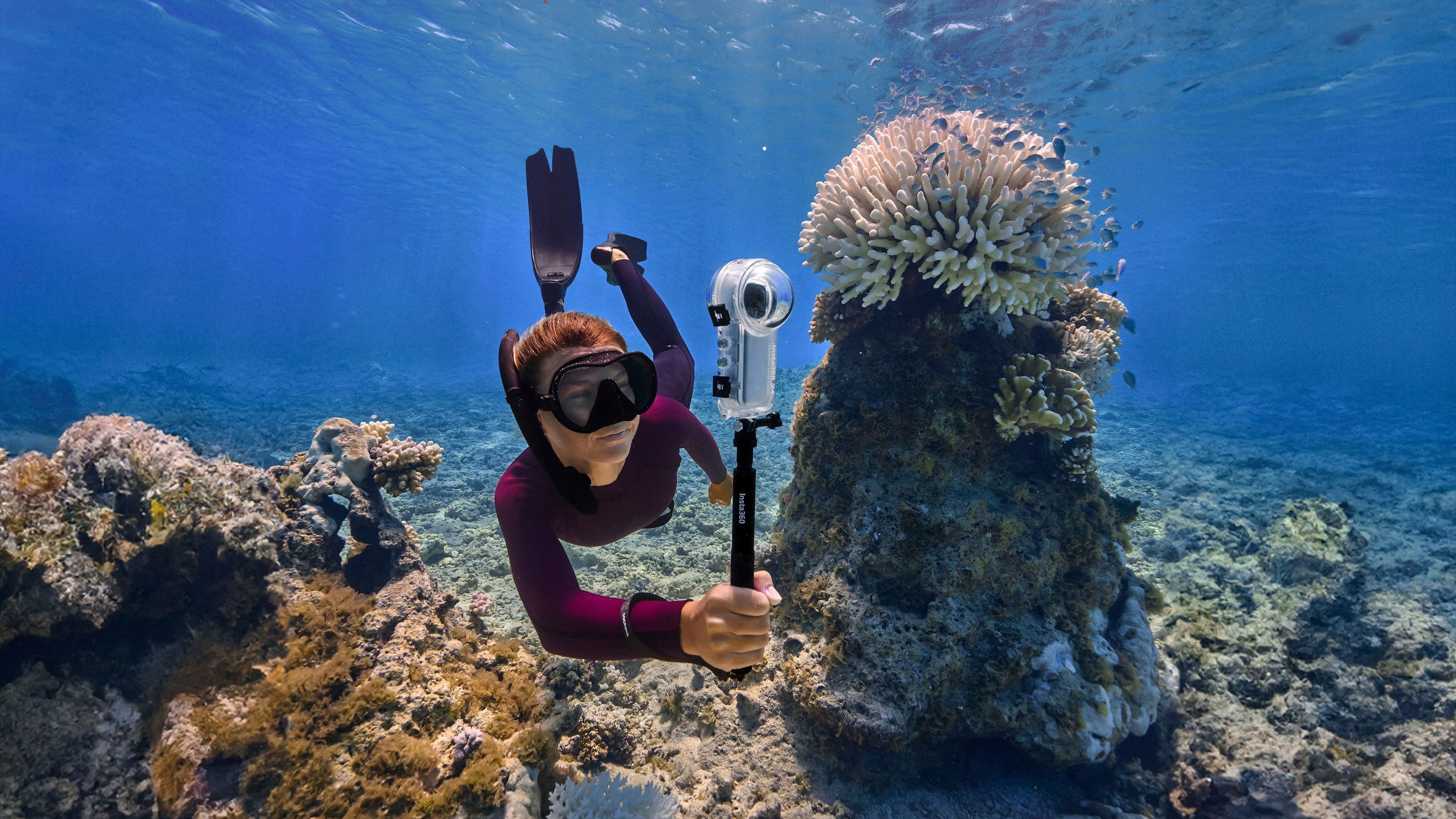 The image shows a person wearing a wetsuit and holding a camera while diving underwater. They are surrounded by coral and other underwater elements. The person is likely capturing the beauty of the underwater environment, possibly for a documentary or a photography project.