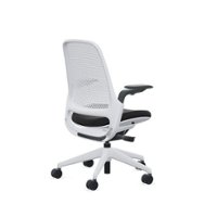 Steelcase - Series 1 Air Chair with Seagull Frame - Era Onyx / Seagull Frame - Front_Zoom