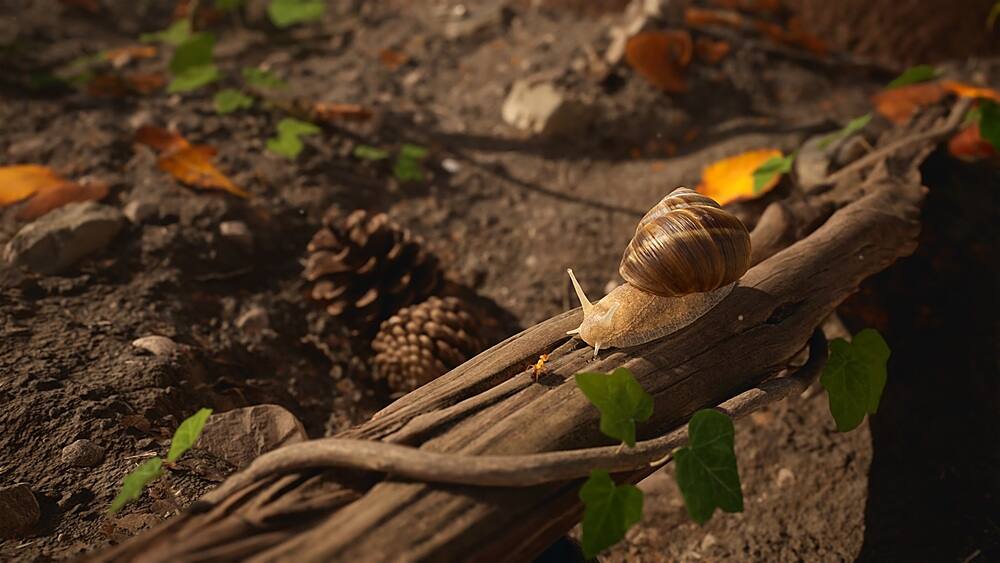 Alt View 12. Microids - Empire of the Ants.