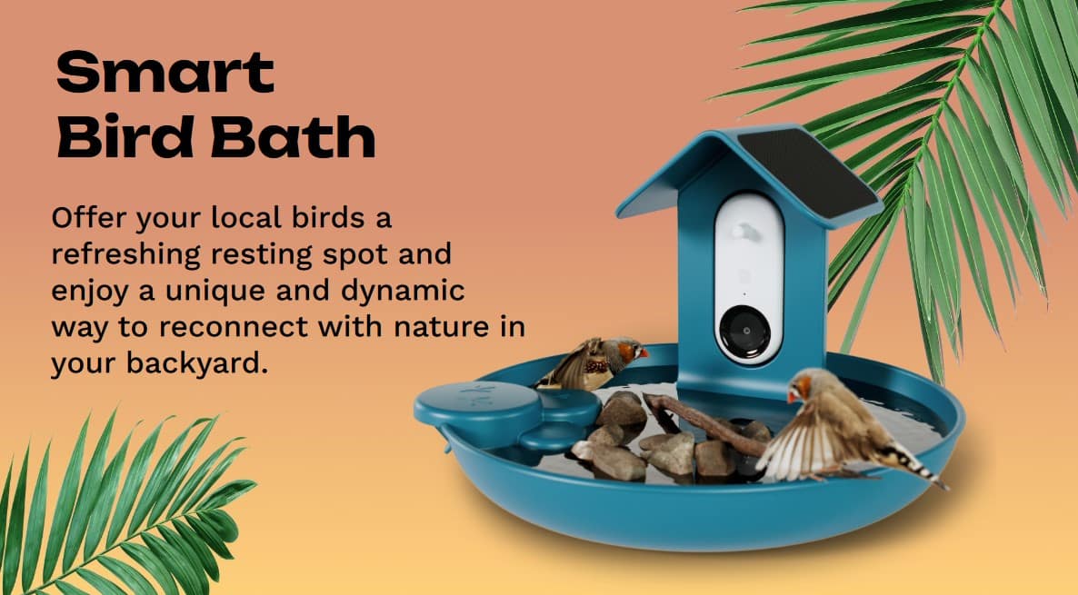 Bird Buddy - Smart Bird Bath with Solar Roof and Water Pump - Blue