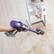 Alt View 14. Dyson - Refurbished Cyclone V10 Animal+ Cordless Vacuum - Purple.
