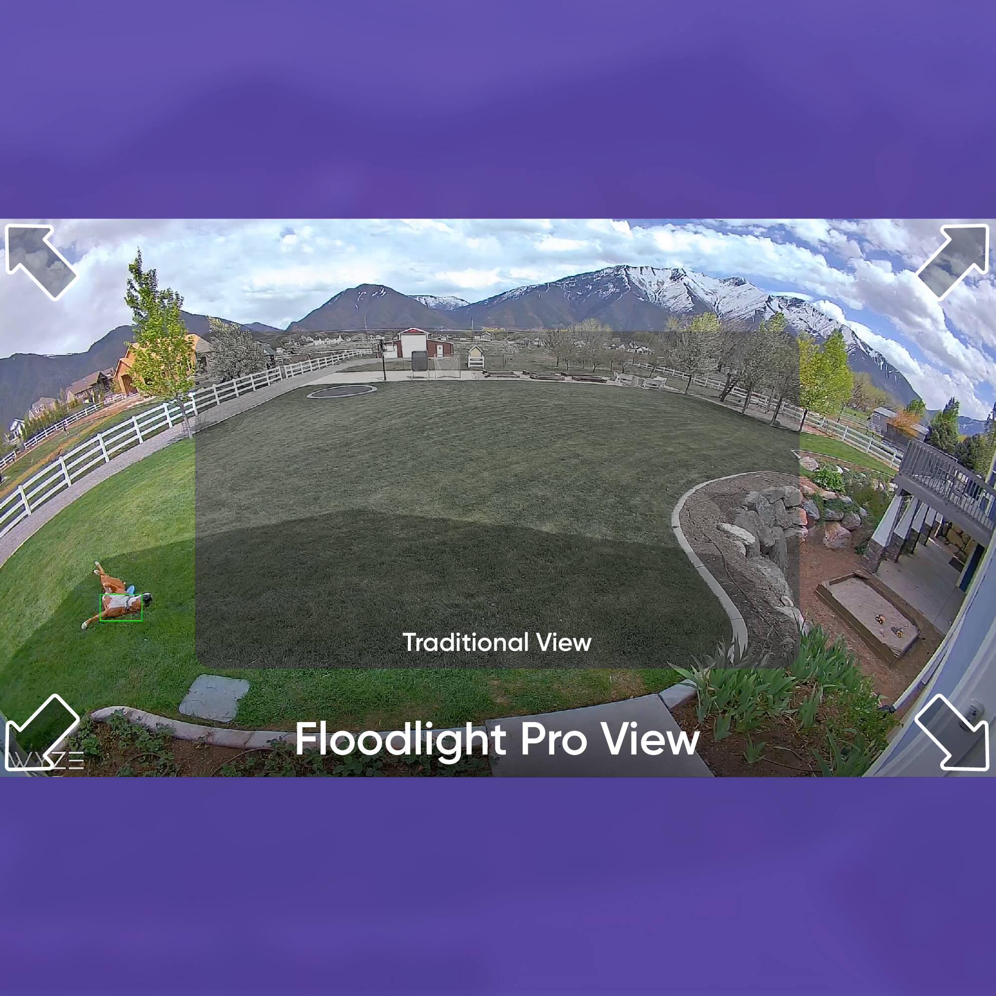 The image shows a large yard with a grassy field, a fence, and a house in the background. The yard is illuminated by floodlights, creating a bright and well-lit environment. The image is categorized as a "Flood_Lights: Traditional View" and a "Flood_Lights: Wyze Floodlight Pro View." The traditional view shows the yard with the floodlights turned on, while the Wyze Floodlight Pro View shows the yard with the floodlights turned off, providing a more natural and less artificial appearance.