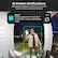 Wyze Motion Notifications: Get instant notifications sent to your phone for any visitor or package delivery. Wyze Motion detected on Front Door at 9:38 PM. Check out the Event Video. Now.