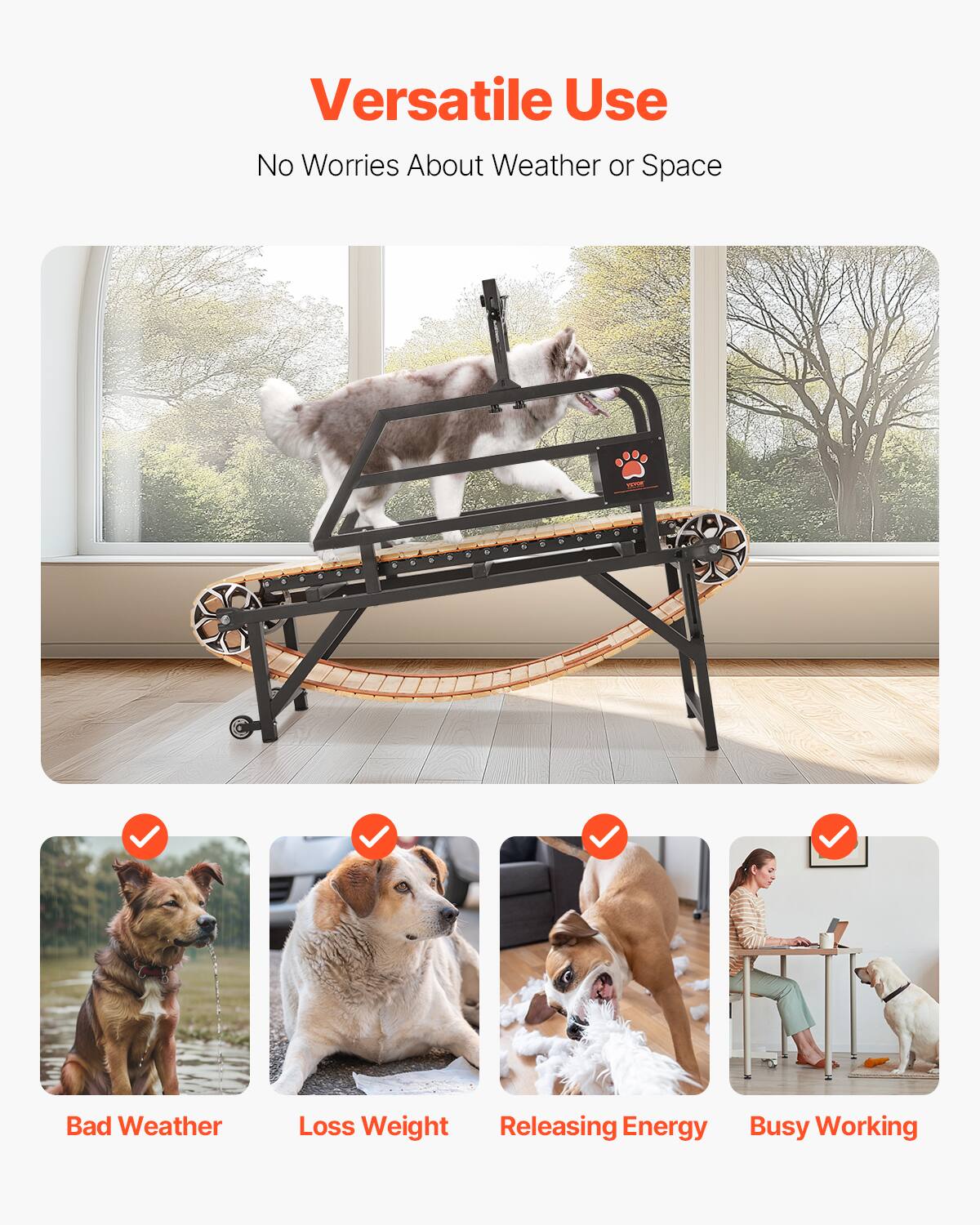 Versatile Use
No Worries About Weather or Space

Bad Weather
Loss Weight
Releasing Energy
Busy Working