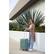 Alt View 17. Samsonite - Elevation Plus 23" Expandable Carry-On Spinner Suitcase - Cypress Green.