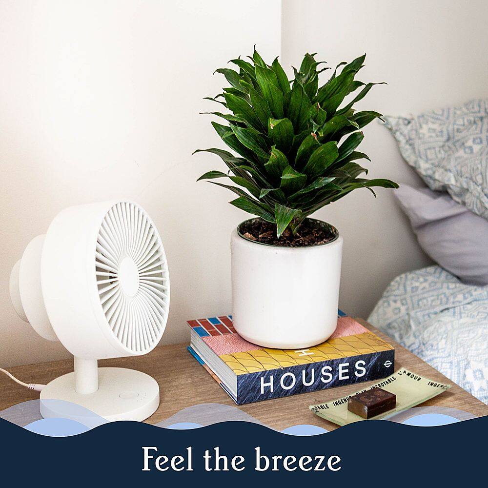 Feel the breeze.