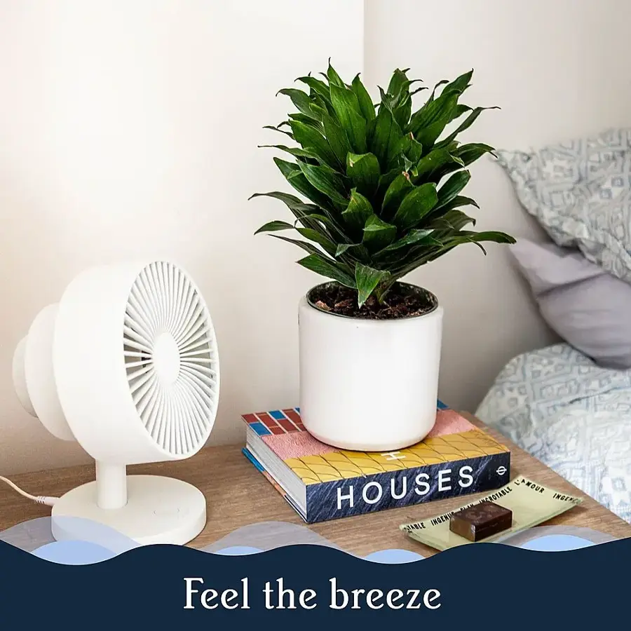Feel the breeze.