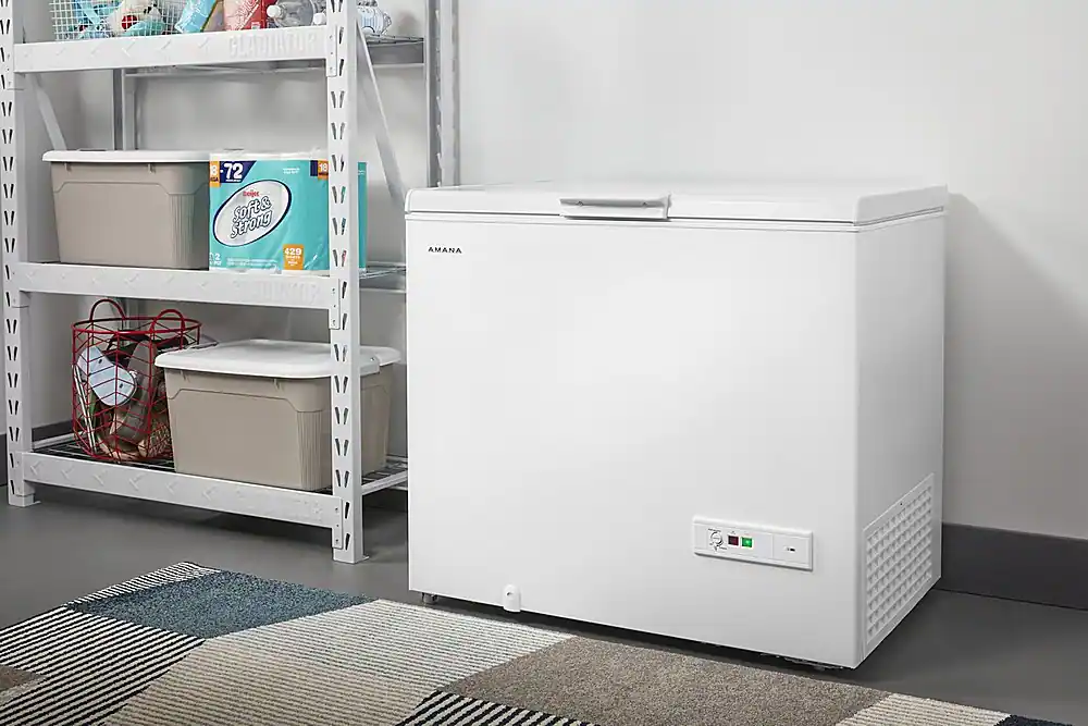 I CLADIATOR 8 72 18 T Dojer Strong Soft& 429 2 . P GLADIATOR AMANA