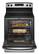 Alt View 2. Amana - 4.8 Cu. Ft. Freestanding Electric Range - Stainless Steel.