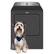 Angle. Maytag - 7.0 Cu. Ft. Electric Dryer with Steam and Pet Pro System - Volcano Black.