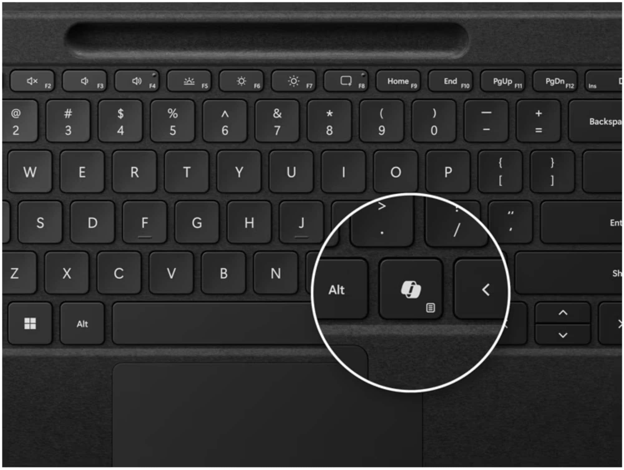 The image shows a close-up view of a keyboard with a circle around the Alt key. The keyboard has a variety of keys, including letters, numbers, and function keys. The letters on the keyboard include A, B, C, D, E, F, G, H, J, K, L, M, N, O, P, Q, R, S, T, U, I, O, P, J, K, L, and Z. The numbers on the keyboard include 1, 2, 3, 4, 5, 6, 7, 8, 9, 0, and a decimal point. The function keys include F1, F2, F3, F4, F5, F6, F7, F8, F9, F10, F11, F12, and the Home, End, Page Up, and Page Down keys. The keyboard also has a Windows key and a Command key for Mac users.