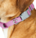 Alt View 19. HALO - Halo Collar 3 GPS Dog Fence, neck size 11"-15" - Sunburst.