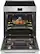 Alt View 2. Frigidaire - Professional 6.2 Cu. Ft Freestanding Induction Range with Total Convection - Stainless Steel.