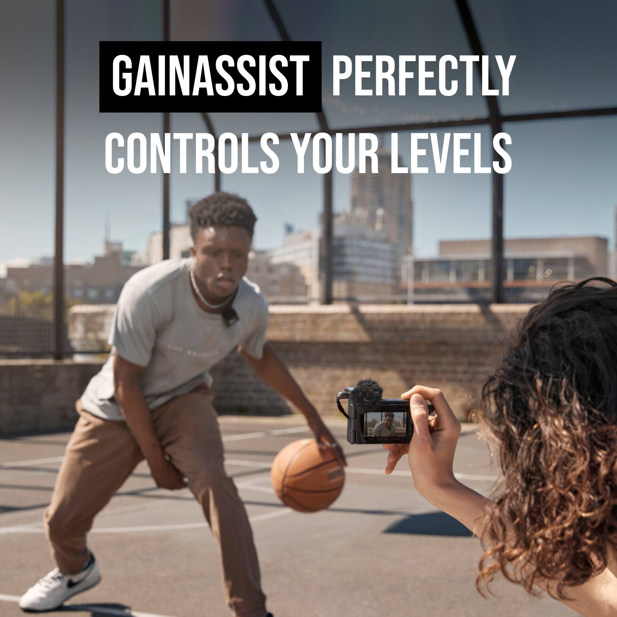 Gainassist Perfectly Controls Your Levels