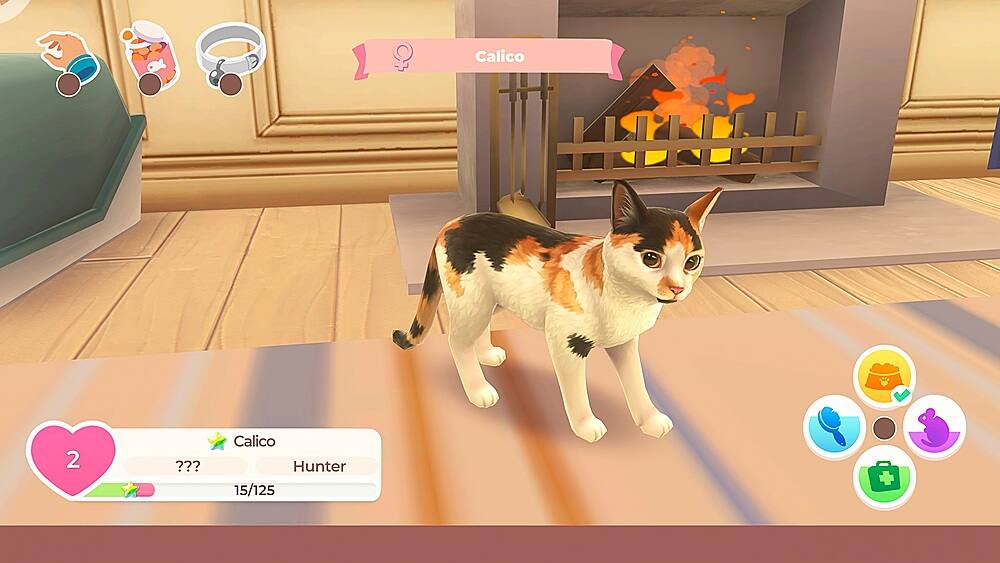 Calico 2  Calico ??? Hunter 15/125 +