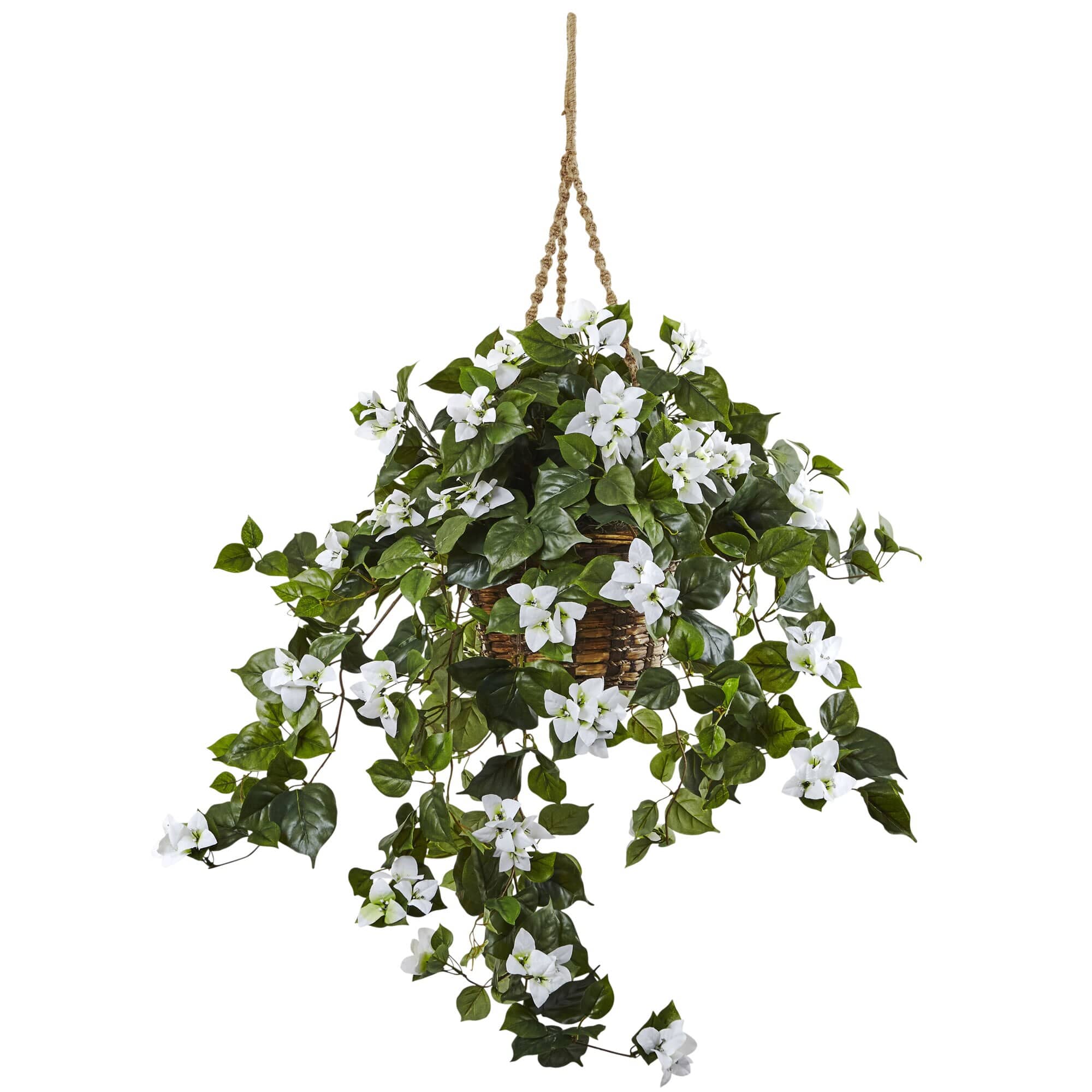 BreeBe - 28" Bougainvillea Hanging Basket - White