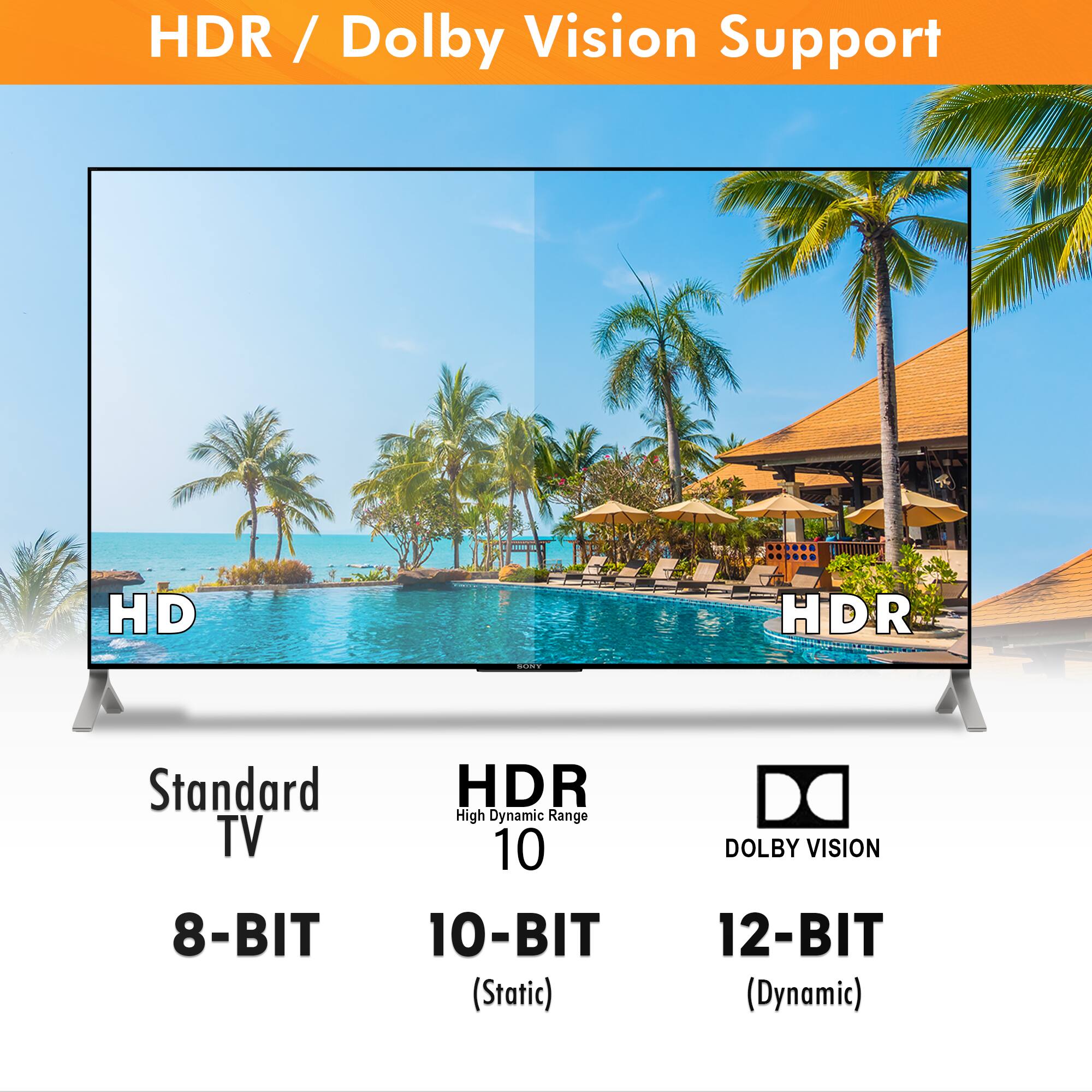 HDR / Dolby Vision Support

Standard TV  
8-BIT

HDR  
10-BIT (Static)

DOLBY VISION  
12-BIT (Dynamic)
