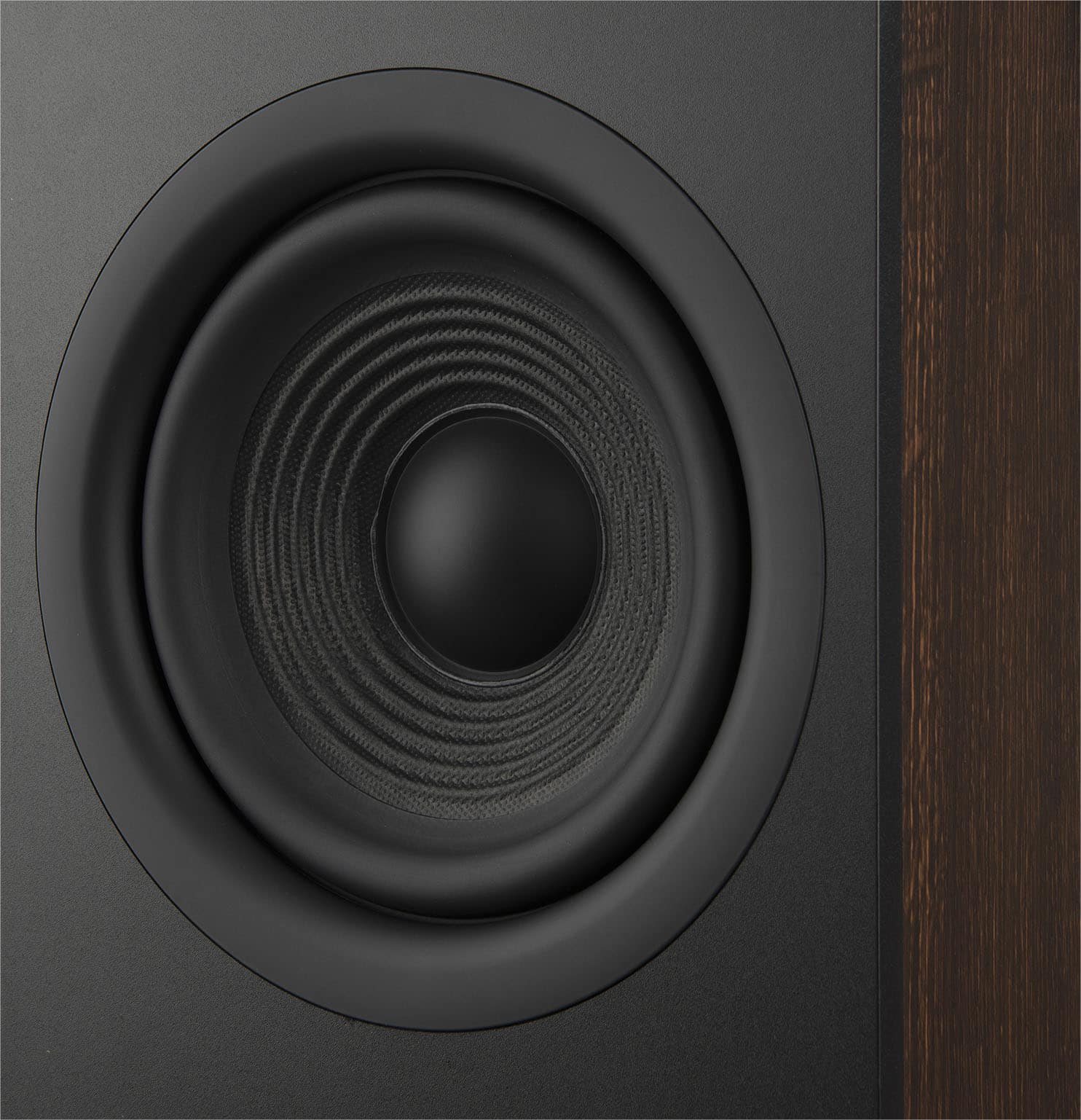 Alt View 17. JBL - Stage2 260F 2.5-Way Dual 6.5-inch (165mm) Floorstanding Loudspeaker - Each - Espresso.
