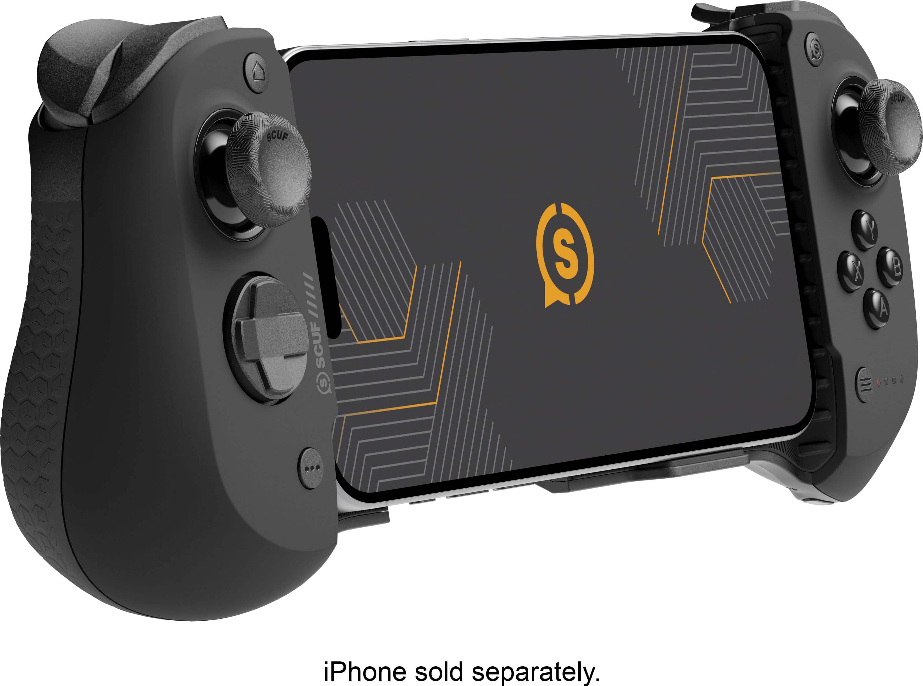 The text on the image reads "Common SCUP."